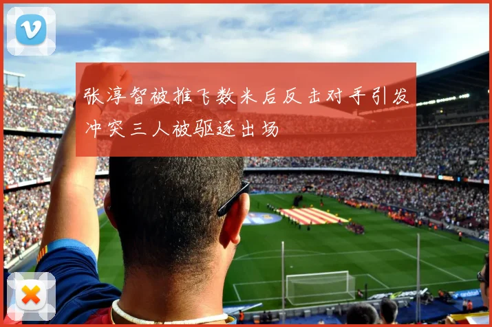 张淳智被推飞数米后反击对手引发冲突三人被驱逐出场