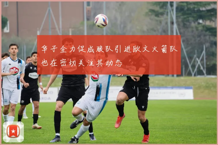华子全力促成狼队引进欧文火箭队也在密切关注其动态